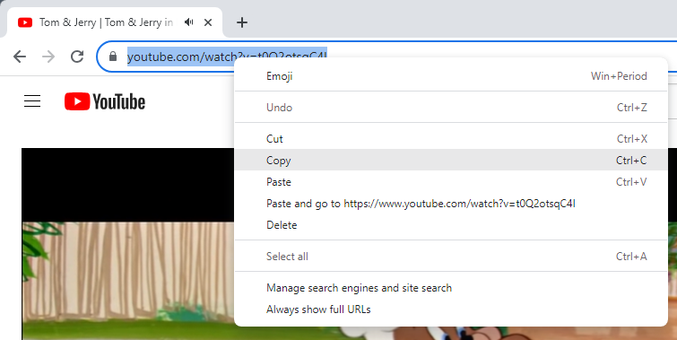 iFunia YouTube Downloader for Windows User Guide