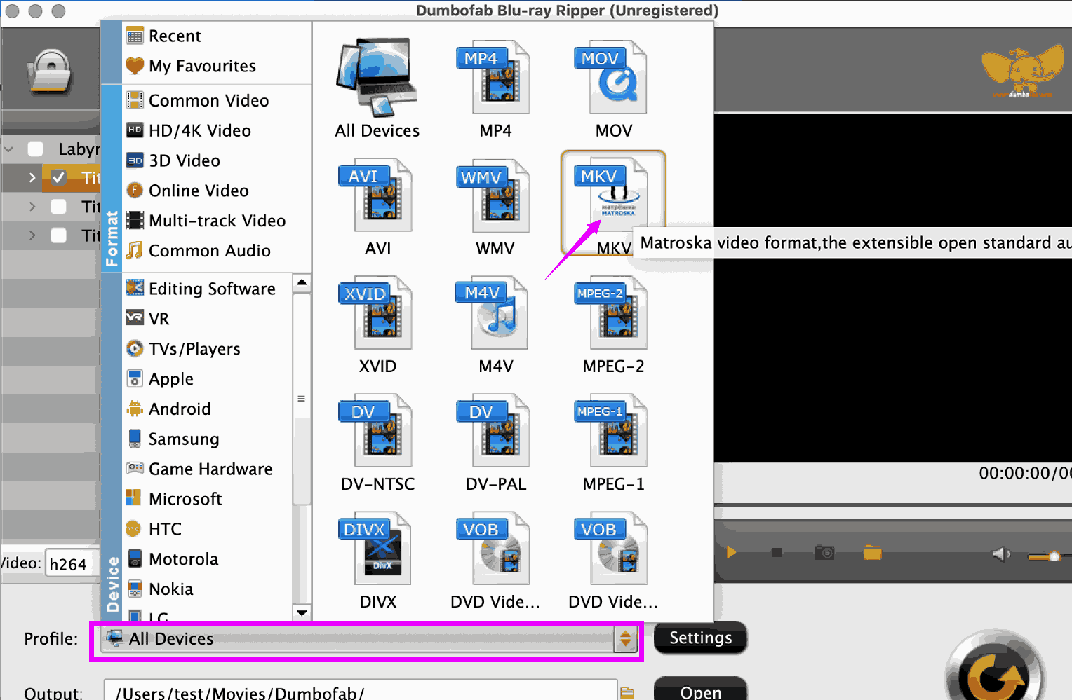 rip a blu-ray to MKV Dumbofab2