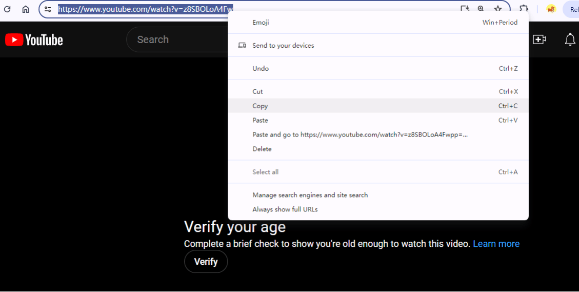 how to download age restricted youtube videos