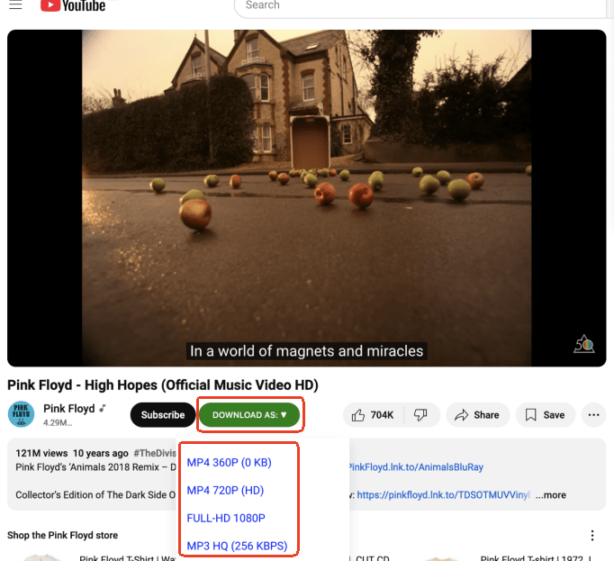 how to download a youtube video on a flash drive