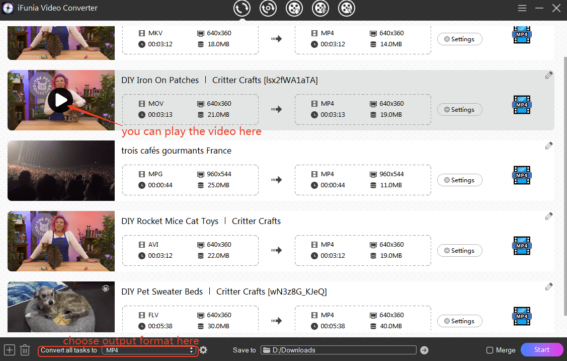 convert h.264 to mp4 ifunia video converter