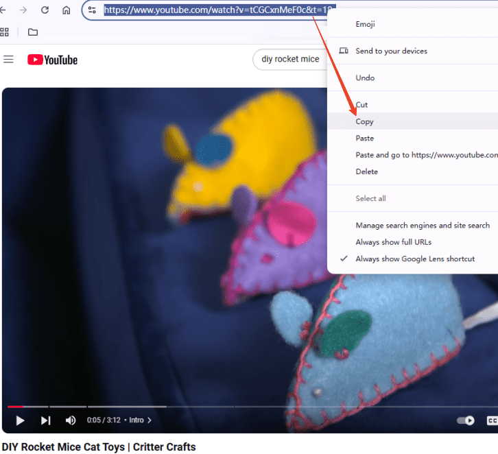 youtube to mov converter ifunia