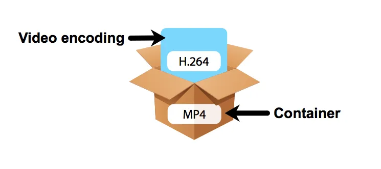 what is h264