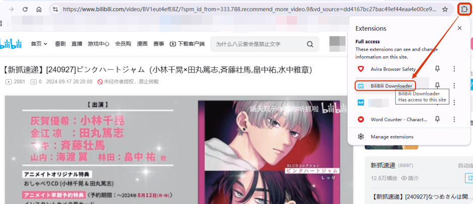 bilibili video download extension