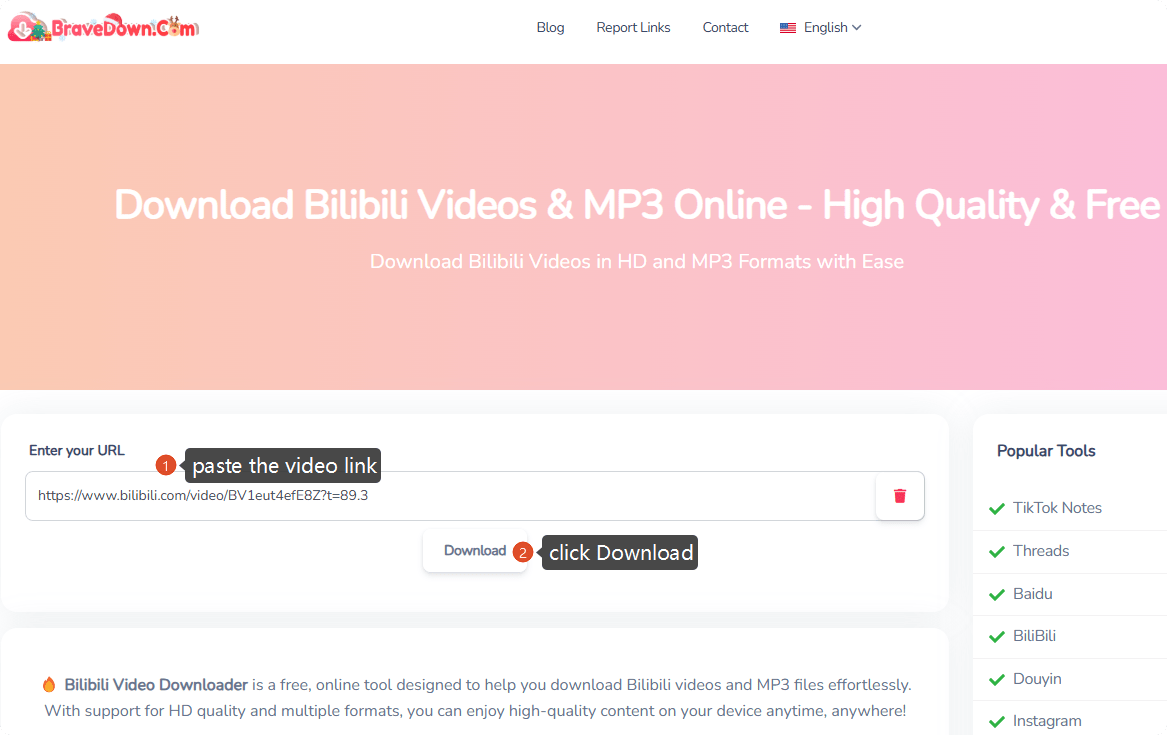 download bilibili video online